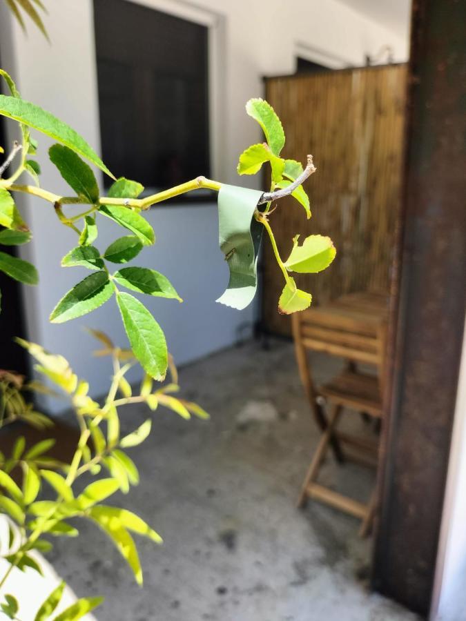 Casale Orgogliosa Hotel San Vito Chietino Eksteriør billede